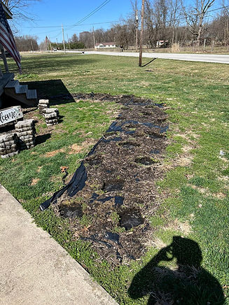 MB Landscaping and Lawn Care, MB Lawn Care, MB Landscaping, MB Mowing Services, MB Mulching, MB Yard Clean-up. Lawn Care near