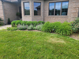 Lawn Care Services in Terre Haute: What to Expect from the Experts