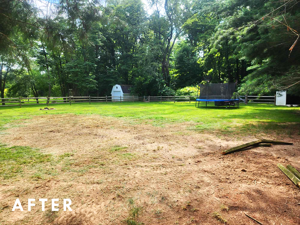 Landscape Design Ideas