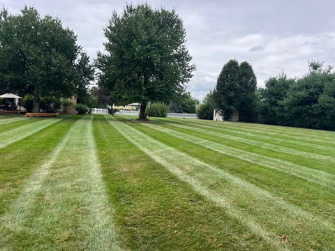 lawn mowed by residental landscaping company