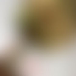 Heerlijke pastaschotel met zalm