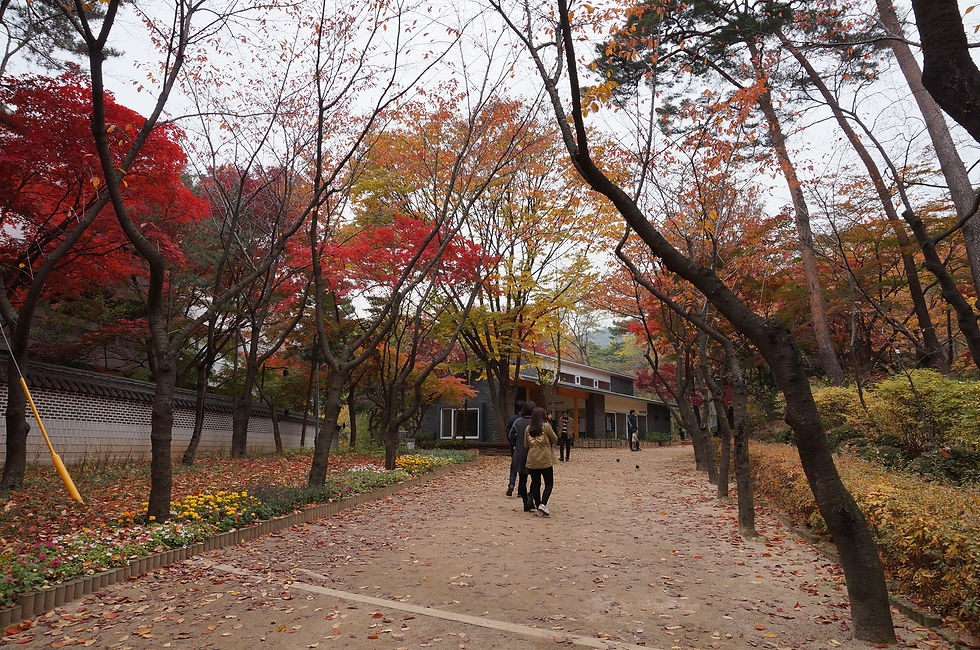DSC03030.JPG