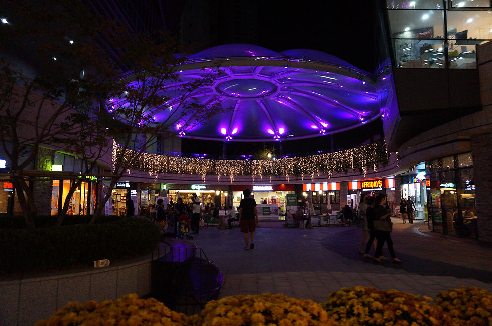DSC01289.JPG