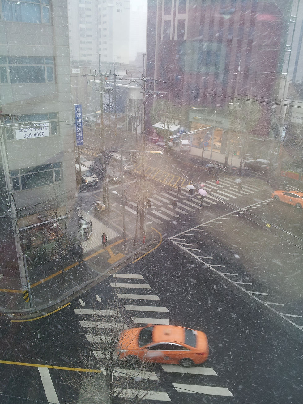 20141201_095415.jpg