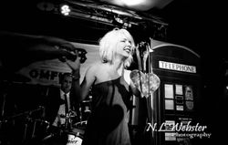 Bootleg Blondie