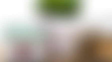 When Paradise Turns to Pain: Jimmy Buffett's Estate Battle 