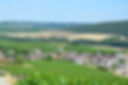 Paysage Balnot-sur-Laigne - Vigneron - Aube - Champagne