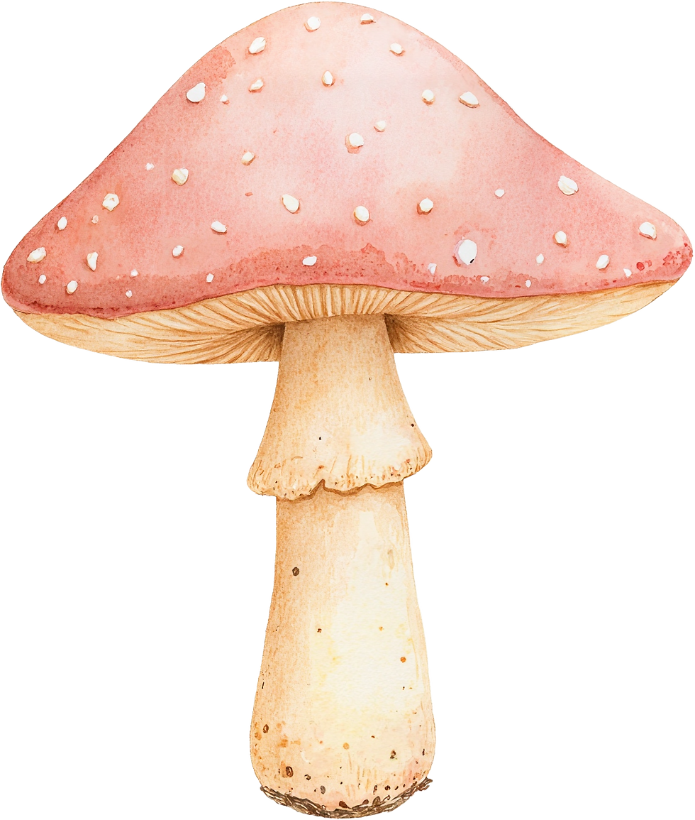 paddestoel 2.png