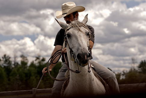 alberta rodeo videographer branding