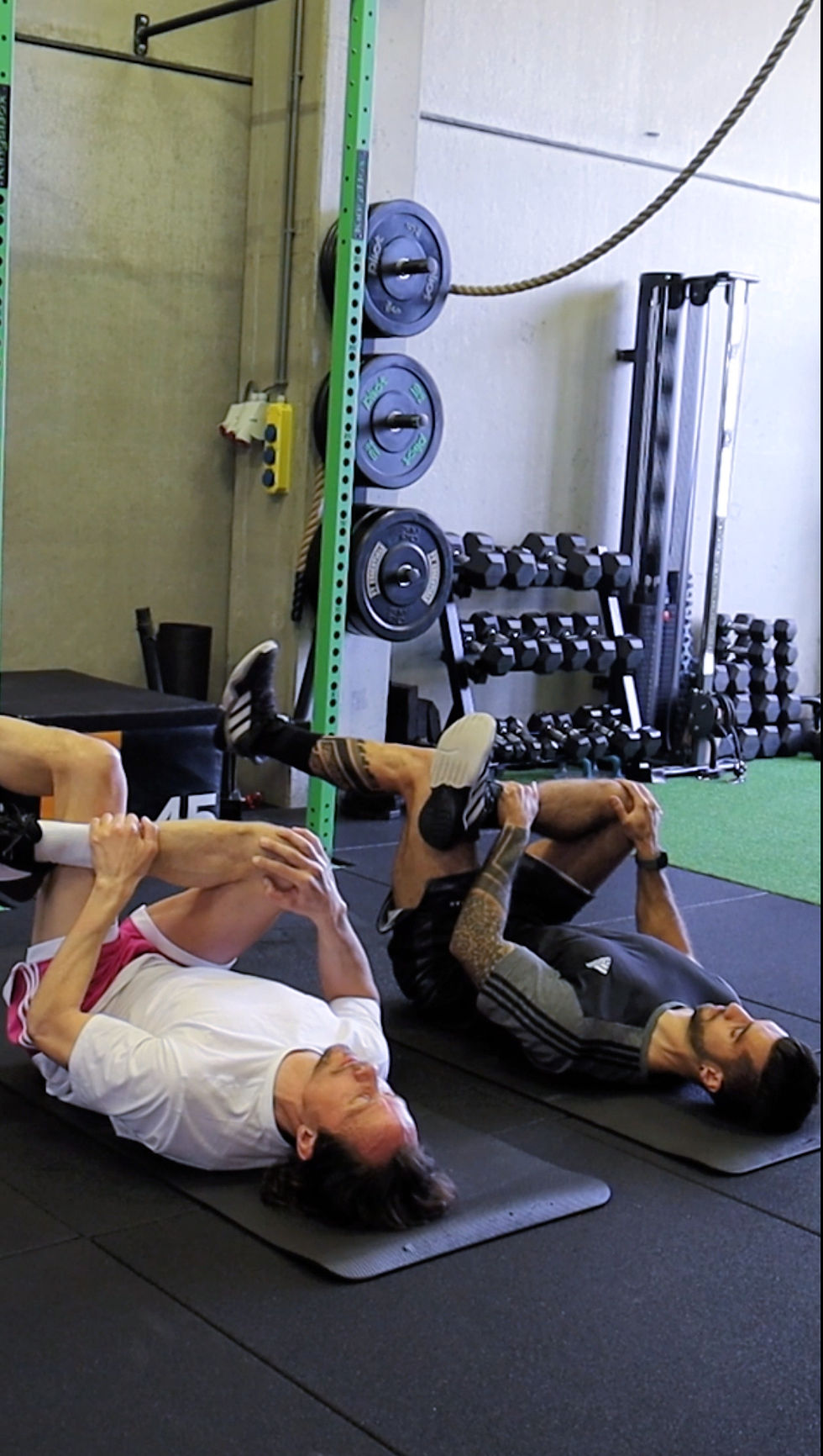 Top 5 Reasons to Hire a Personal Trainer in Amsterdam Noord