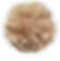 legemarrone