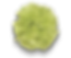 CARN COLORS GREEN