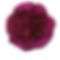 farietta