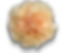 samai