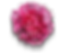 hypnosis