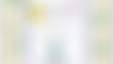 Beth Gibson Lilja Rescues the History of MFBPW