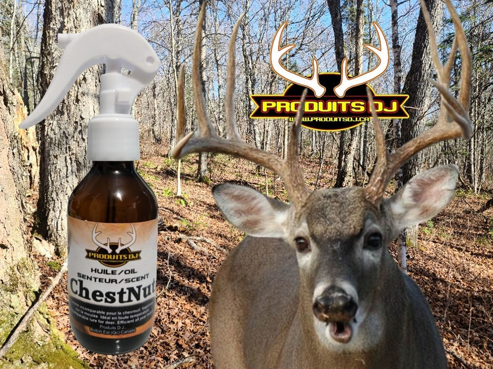 PRODUITS DJ HUILE CHESTNUT 100ML