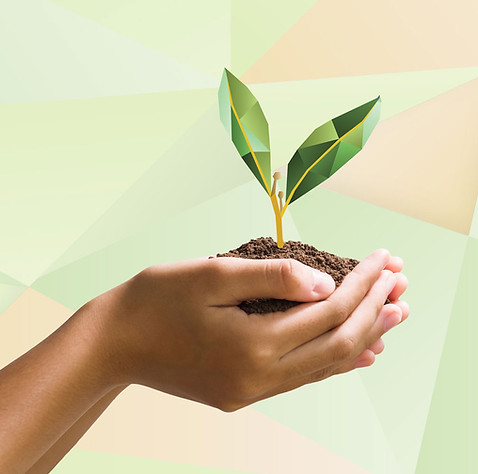 Hands_holding_polyplant.jpg