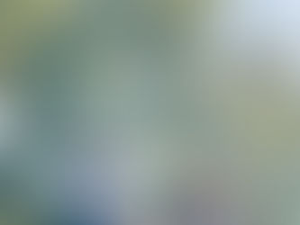 Chá Revelação com Co2 e papel picado em Nova Odessa