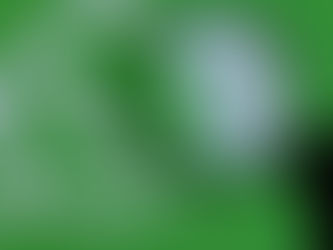 Tem como clonar WhatsApp só pelo número em Indaiatuba?