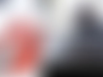 LOCALIZAR VEÍCULO PROMISSÃO DETETIVE