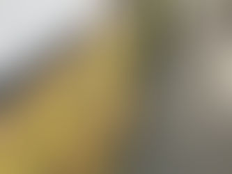 Een dag tussen kunst.