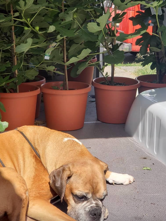 Screenshot 2023-02-14 at 12.17.59 PM.png