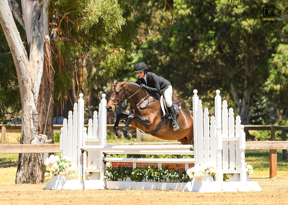 X1S_1327_GrandPix copy