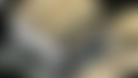 Je! Ni kweli Wamarekani watapata $ 600 Januari hii?