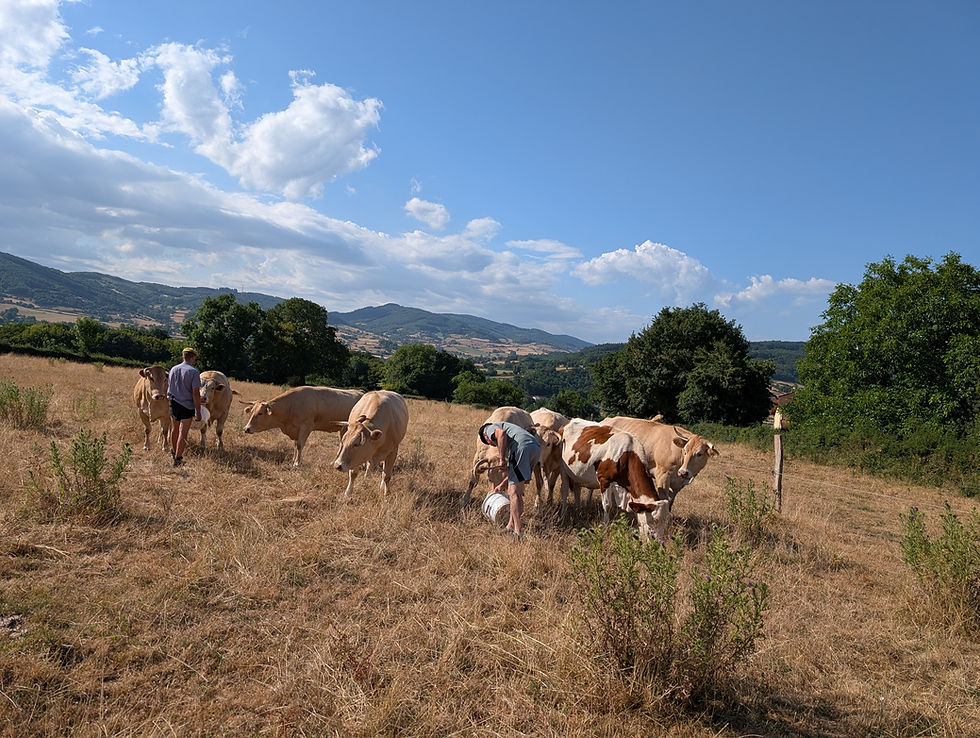 Visite du domaine de la Saule 