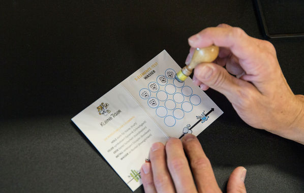 Kampfschule, Taekwondo, Selbstverteidigung, Training, Kampfschule für Kinder, Kampfschule für Jugendliche, Kampschule für Erwachsene, Stefanie und Sebastian Pitsch, Zorneding, Vaterstetten, Baldham, Grassbrunn, Haar, München