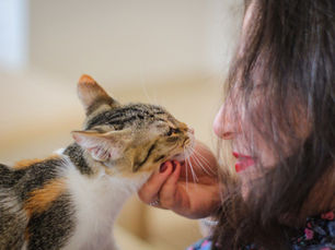 Ragazza che gioca con un gatto