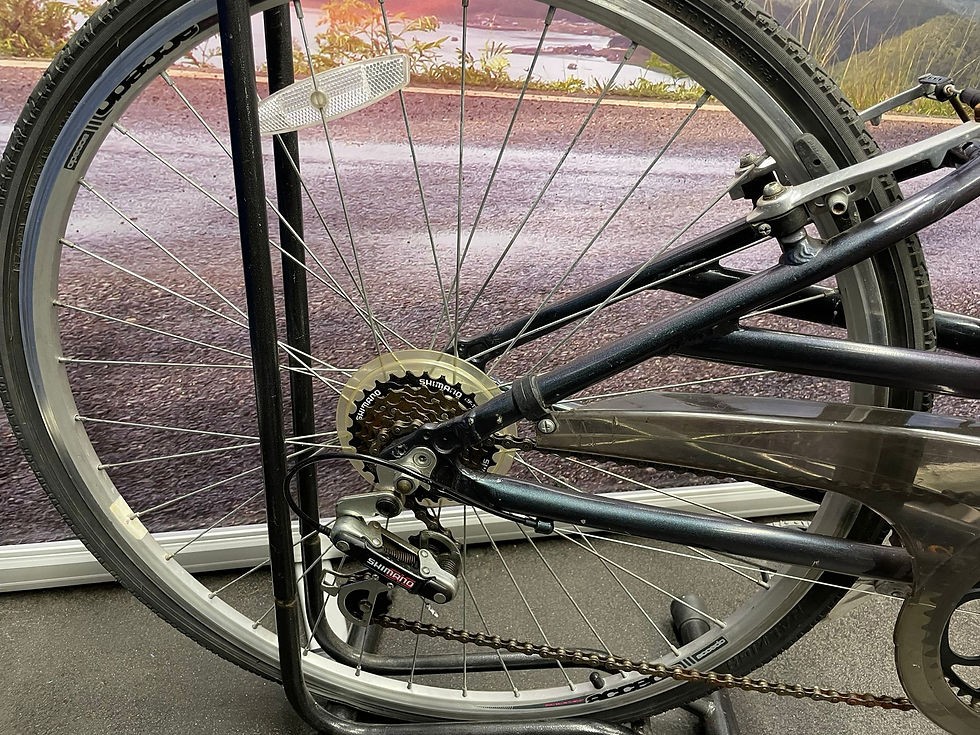 Thumbnail: Raleigh Metro L X