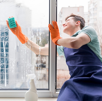 window cleaning services