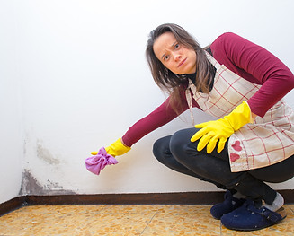 Women interior cleaning