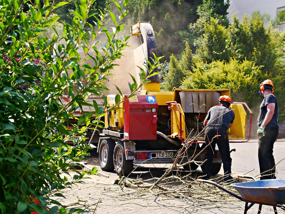 Commercial Junk Removal Services in Franklin, Spring Hill, Brentwood, Columbia, and Nolensville