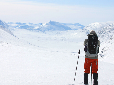 Interview With A Stockholm Local