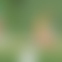 Technology's Huge Impact on ICC World Cup Contests