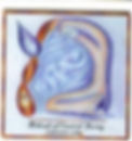 mikvah logo.jpg