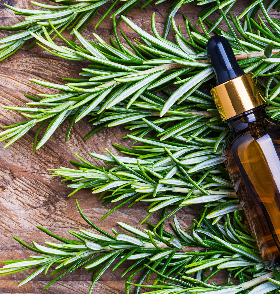 Thumbnail: Wholly Ground Healing Foot Salve