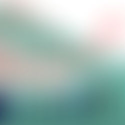 How is the current economic crisis due to Covid-19 different from the financial crisis of 2008?