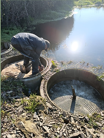 Untitled design (1).png