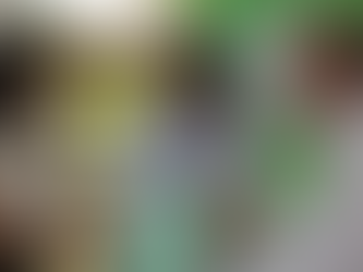 Asumió la nueva presidente del COPNAF, Zulema Gómez