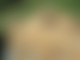 Avanza la construcción de la "Estación Transformadora Parque Industrial Ituzaingó"