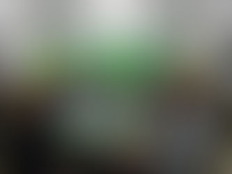 Sesiona en Corrientes el Consejo
Federal de Responsabilidad Fiscal