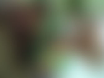 CON GRAN ÉXITO SE REALIZÓ CAMPAÑA DE VACUNACIÓN EN EL B° GALVAN