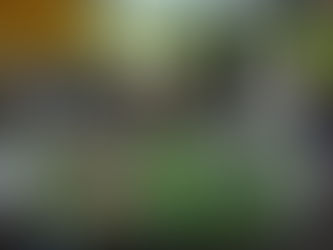 Se distribuyó viandas y repelentes en el Comedor del B La Rinconada