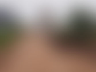 Vialidad Urbana mejora el acceso y calles internas de El Perichón