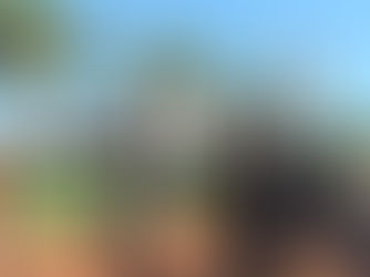 En el centenario de Colonia Liebig, Valdés garantizó obras de infraestructura y destacó su fortaleza productiva