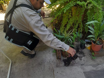 Salud Pública continúa con bloqueo vectorial y acciones preventivas